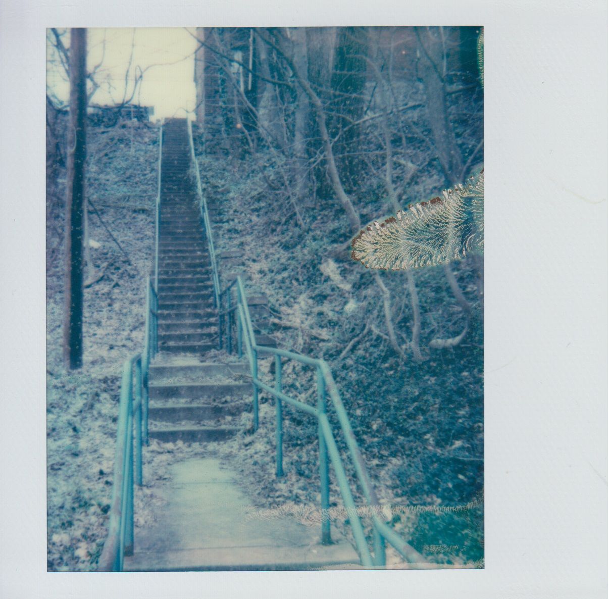 Interview: Laura Zurowski (Mis-steps) on Making Art About the Iconic Public Stairways of Pittsburgh